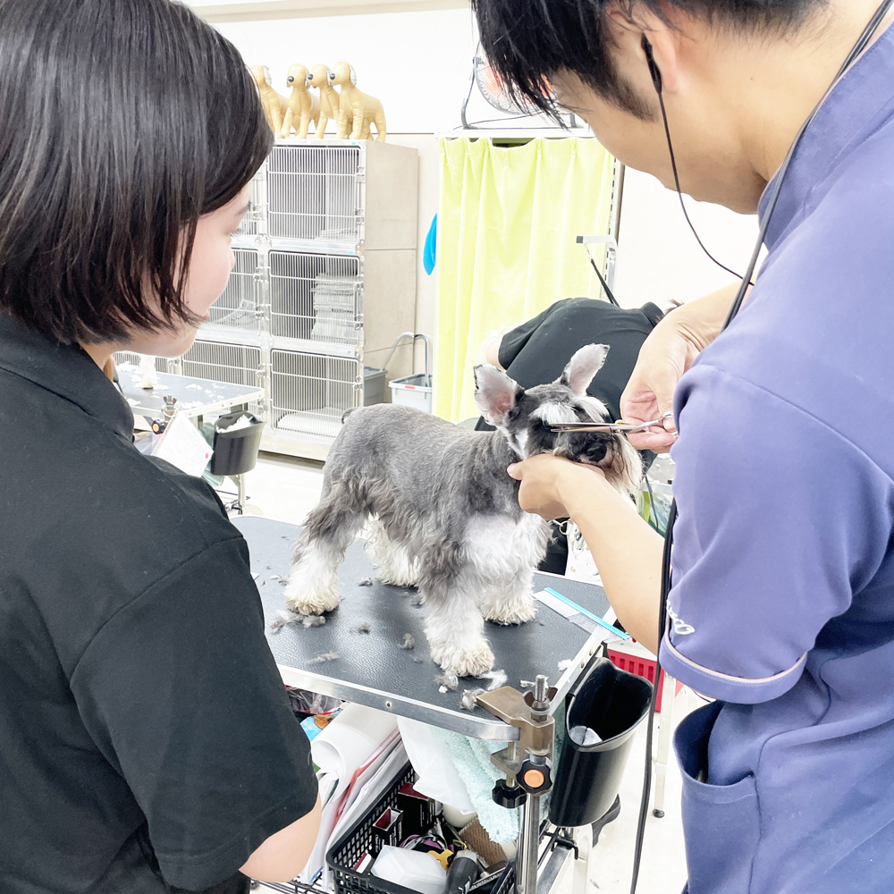 新学期もがんばりましょう♪